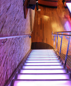 escalón de piedra reconstituida
