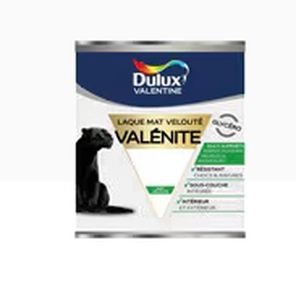pintura a prueba de choques