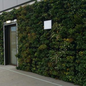 muro vegetal estabilizado