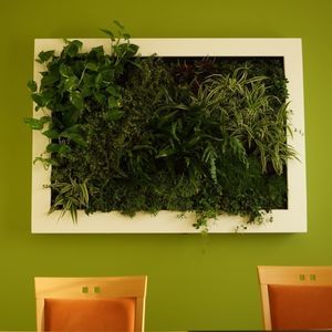 muro vegetal tipo slim