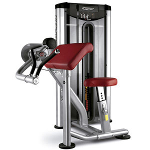 máquina de musculación curl