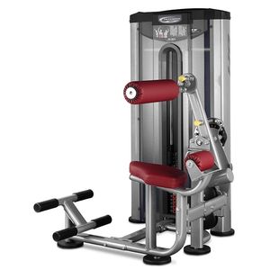 máquina de musculación extensión de espalda