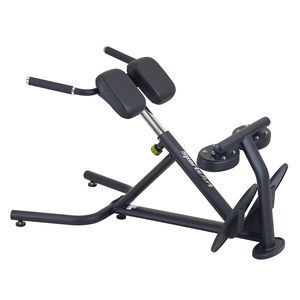 máquina de musculación extensión de espalda