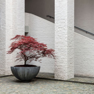 jardinera de zinc