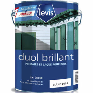 pintura decorativa