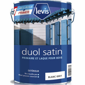 pintura decorativa