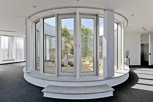 planta ornamental de interior