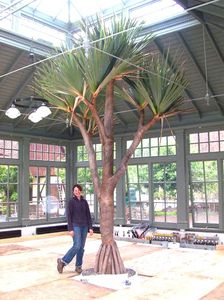 planta ornamental para naranjal