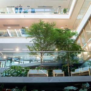 jardín de interior
