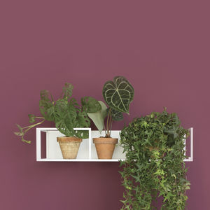 estanterías de pared