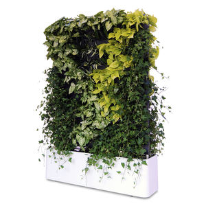 muro vegetal de plantas naturales