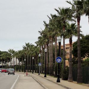 farola urbana