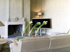 chimenea de gas