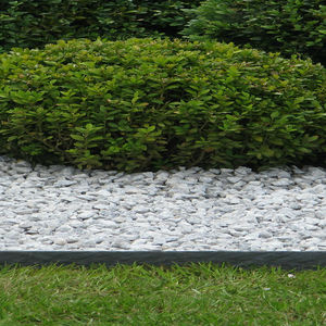 borde de jardín