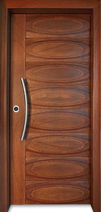 puerta de entrada