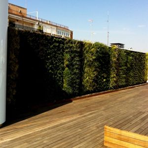 muro vegetal de plantas naturales