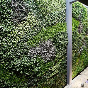 muro vegetal estabilizado