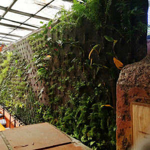 muro vegetal de plantas naturales