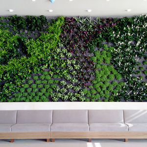 muro vegetal de plantas naturales