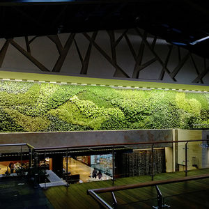 muro vegetal estabilizado