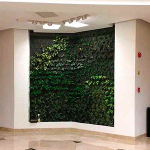 muro vegetal de plantas naturales