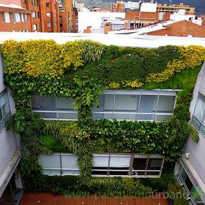 muro vegetal de plantas naturales
