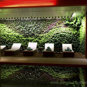 muro vegetal de plantas naturales