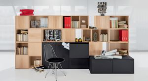 biblioteca contemporánea / para oficina / de madera / modular