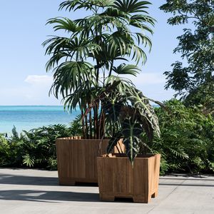jardinera de teca