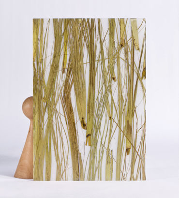 Panel decorativo para interiores - THAI GREEN - Designpanel - de poliéster / liso / orgánico