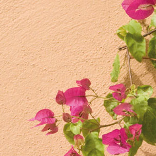 Pintura decorativa - ALLA CALCE ADIGE - OIKOS colore e materia per l