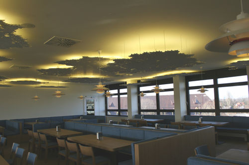 Panel acústico para falso techo - BAVARIAN MEDICAL ASSOCIATION - Bruag Design Factory AG - MDF / rectangular / profesional