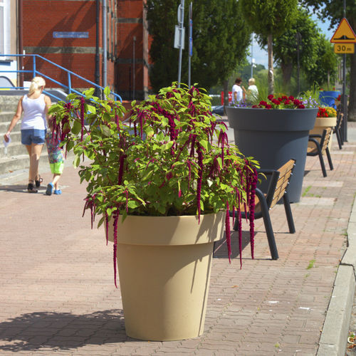 jardinera de polietileno - Terra Group