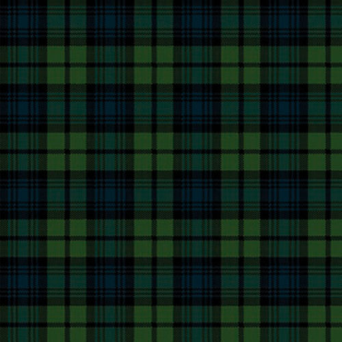 Moqueta tejida - BLACK WATCH TARTAN  - STEVENS AND GRAHAM - de lana / de nailon / para el sector servicios