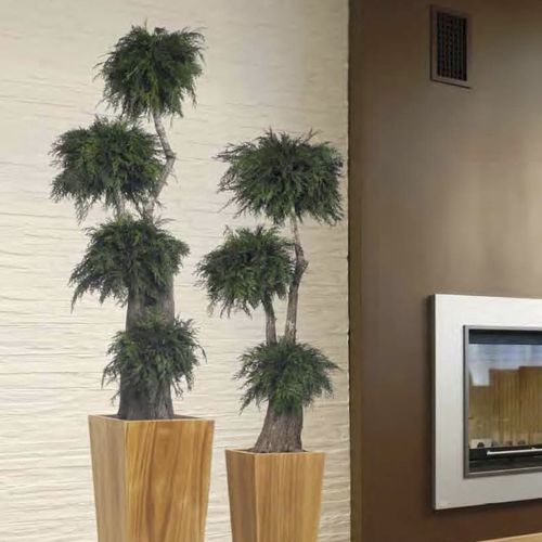 Planta ornamental estabilizada - JUMBO THUJA - LinfaDecor - de grandes dimensiones / de interior