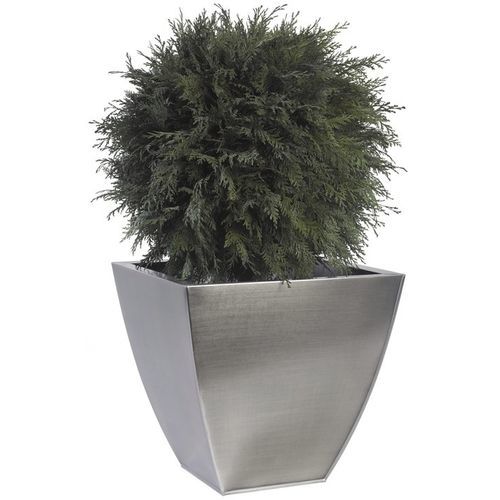 Planta ornamental estabilizada - GREEN THUJA BASE TOPIARY - LinfaDecor - esferas / de tamaño mediano / de interior