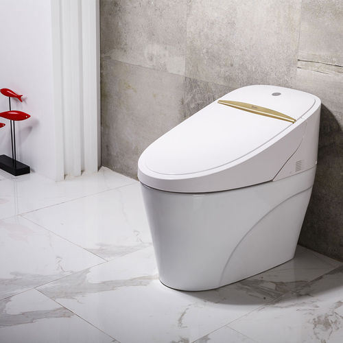 Inodoro inteligente - TA-550ZA - Zhejiang Tejieer intelligent sanitary ware co.ltd - de pie / de cerámica / para el sector profesional