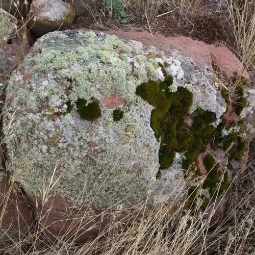 Bloque de piedra para zonas verdes - BORDEAUX RED - Canteras el cerro s. l.