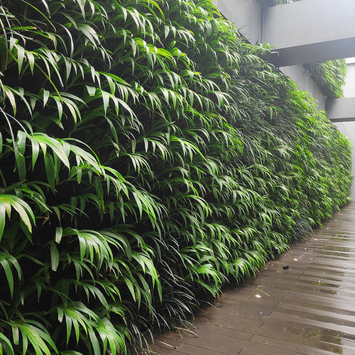 Jardín vertical de plantas naturales - SKYGROW - Skytech Engineering L.L.C-FZ - a medida / de panel modular / curvo