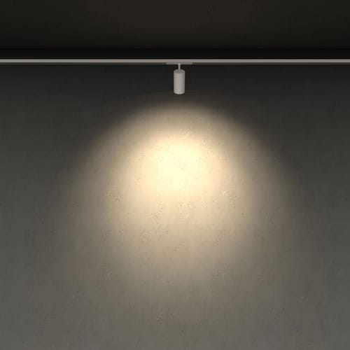 Iluminación de carril LED - EIDOS D90 - ING. CASTALDI ILLUMINAZIONE - redonda / de aluminio / para el sector profesional
