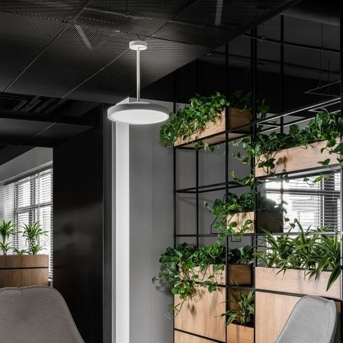 Luminaria suspendida - flexxica - LED / circular / IP20