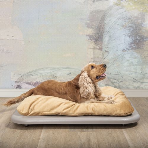 cama para perros de madera maciza - LABILLA