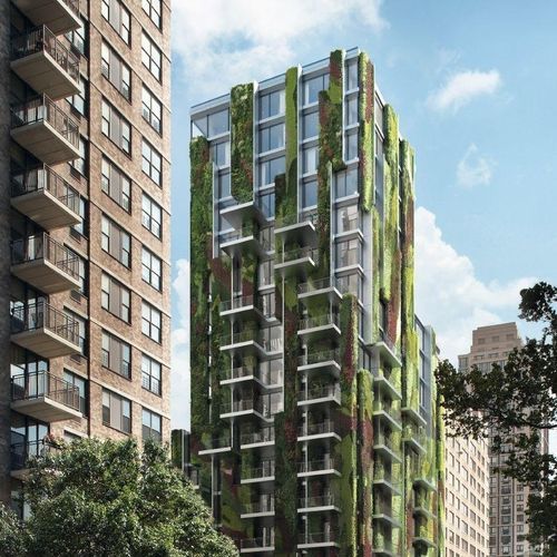 Fachada vegetal de plantas naturales - AF UDC 80 - Schüco - de panel modular / biológico / de exterior