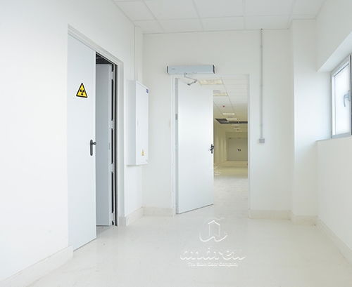 Puerta antirradiación - TURIA RX - Andreu Barberá, S.L. - de interior / de acero galvanizado / de chapa de acero