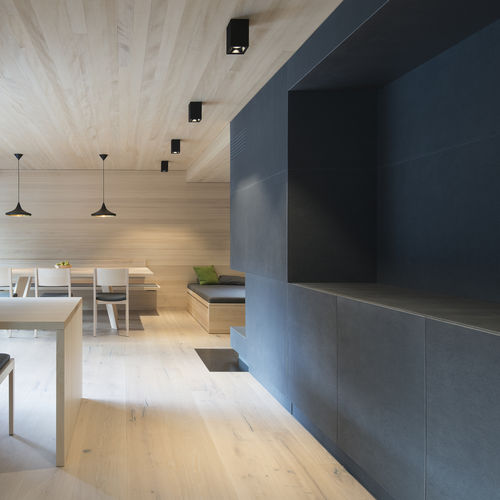 Panel decorativo de hormigón - FIBREC INTERIOR - Rieder Sales GmbH - de