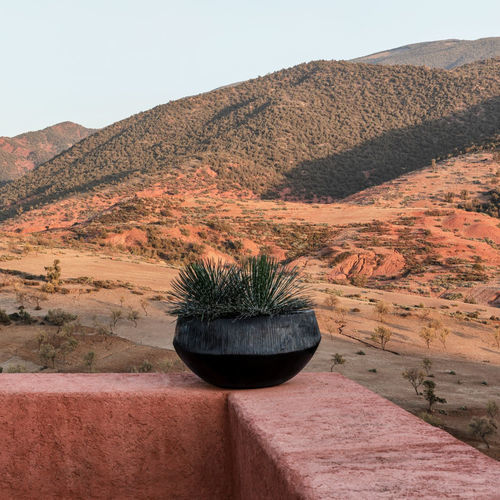 Jardinera de terracota - ATLANTIS - DOMANI - redonda / contemporánea / marrón