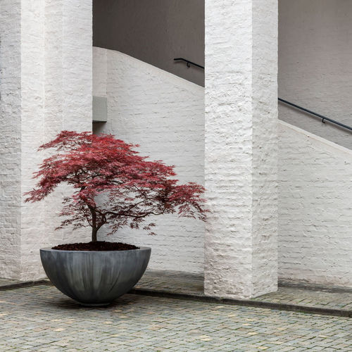 Jardinera de zinc - HALF BOWL - DOMANI - redonda / contemporánea / para espacio público