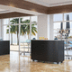 mueble bar para el sector profesional / contemporáneo / de chapa de madera / de acero inoxidable