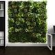 muro vegetal estabilizado / de panel modular / biológico / de feuillage