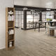 estantería contemporánea / de madera / para el sector profesional